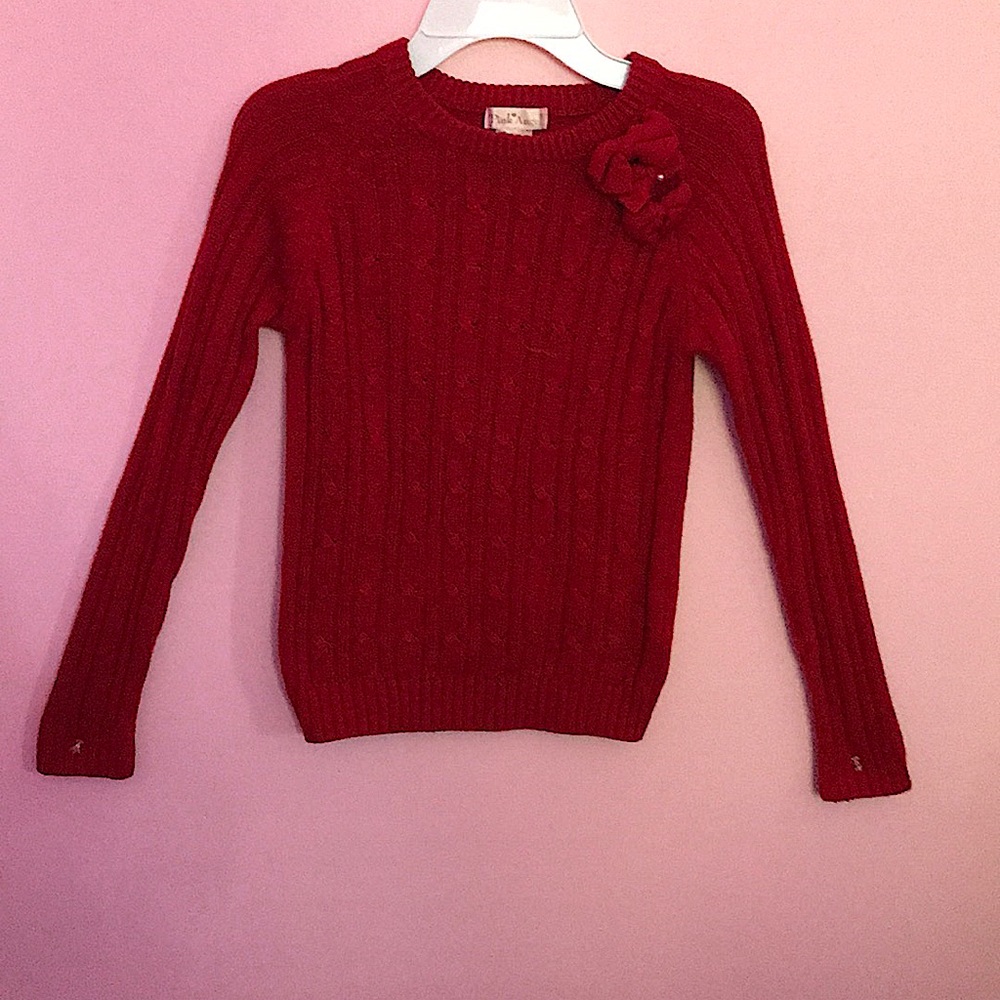 Girls sweater, like new.